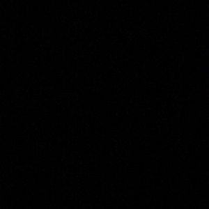 Meet your Posher, Bryan